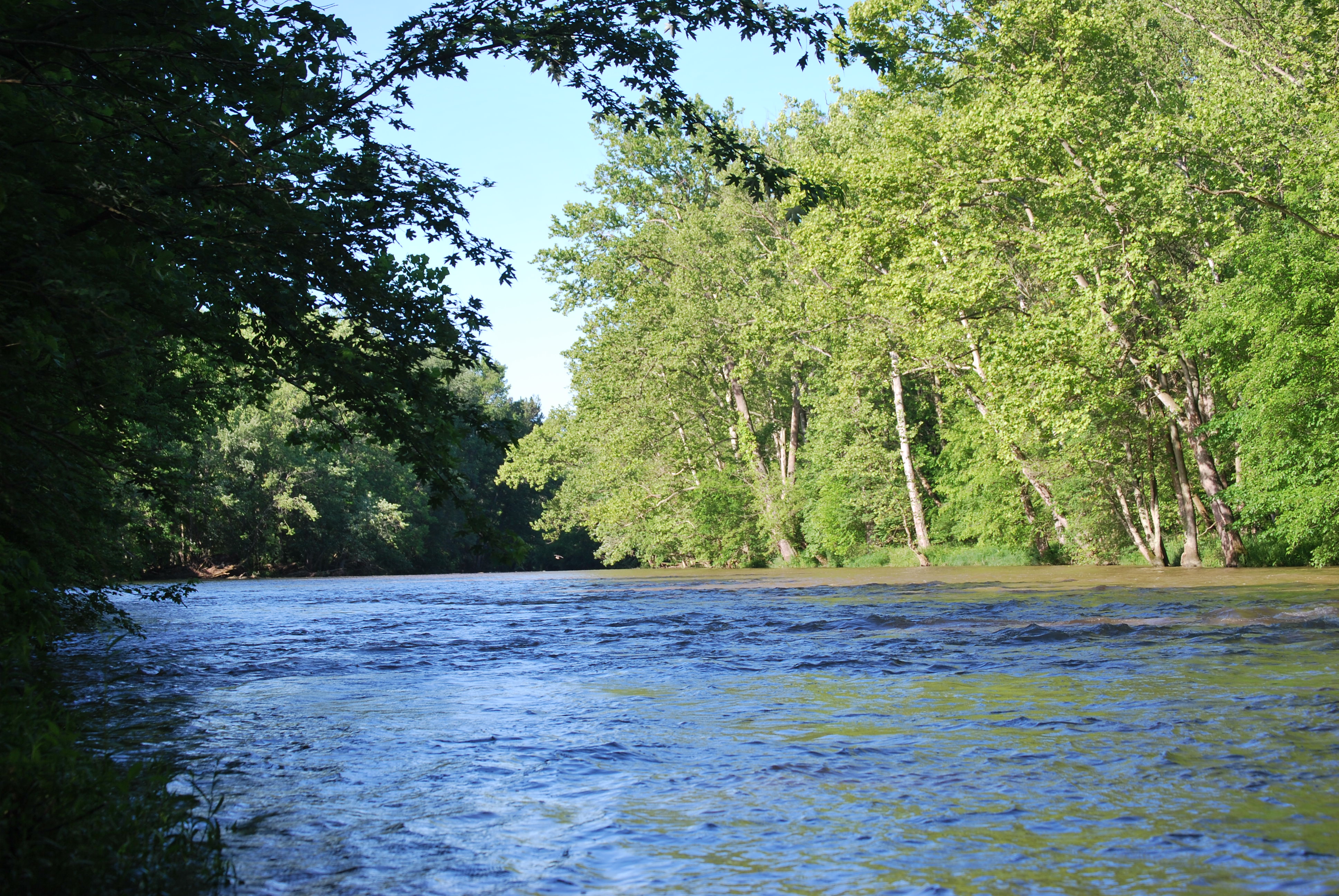 Olentangy River near Camp Lazarus - Regional Planning Commission